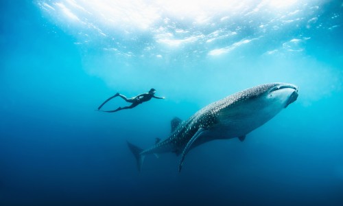 Soneva Fushi